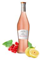 V SUD RS CDP COTE DE PROVENCE CASTEL 75CL